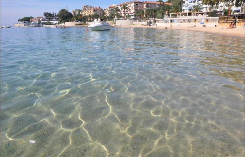 Ajaccio Magnifique T2 37M2 Centre Ville Vue Mer Au Bord De La Plage Neuf 4 Couchages Balcon Parking Prive Ferme Clim Wifi Eksteriør billede