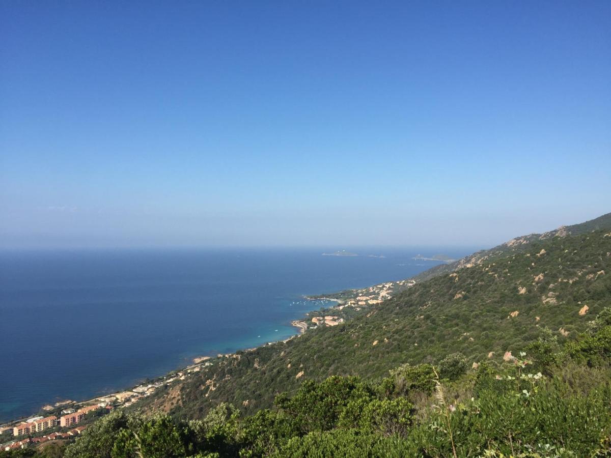 Ajaccio Magnifique T2 37M2 Centre Ville Vue Mer Au Bord De La Plage Neuf 4 Couchages Balcon Parking Prive Ferme Clim Wifi Eksteriør billede