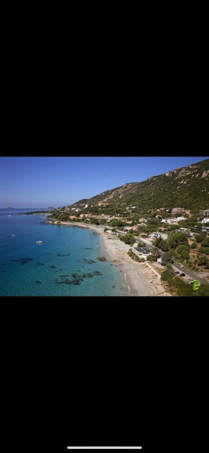 Ajaccio Magnifique T2 37M2 Centre Ville Vue Mer Au Bord De La Plage Neuf 4 Couchages Balcon Parking Prive Ferme Clim Wifi Eksteriør billede