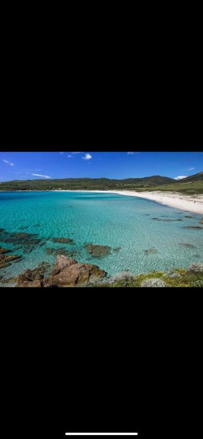 Ajaccio Magnifique T2 37M2 Centre Ville Vue Mer Au Bord De La Plage Neuf 4 Couchages Balcon Parking Prive Ferme Clim Wifi Eksteriør billede