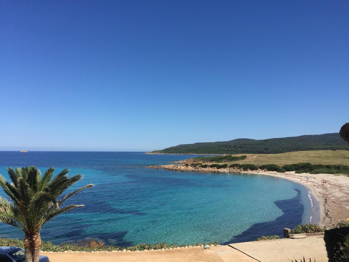 Ajaccio Magnifique T2 37M2 Centre Ville Vue Mer Au Bord De La Plage Neuf 4 Couchages Balcon Parking Prive Ferme Clim Wifi Eksteriør billede